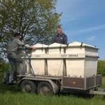 Karper en zeelt uitgezet